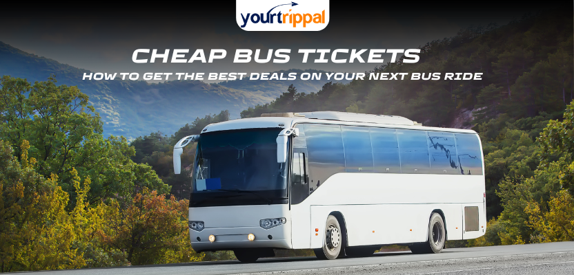 Cheap Bus Tickets: How to Get the Best Deals on Your Next Bus Ride